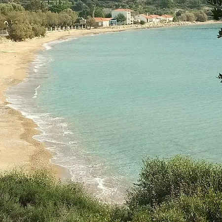 Pilias - #123828